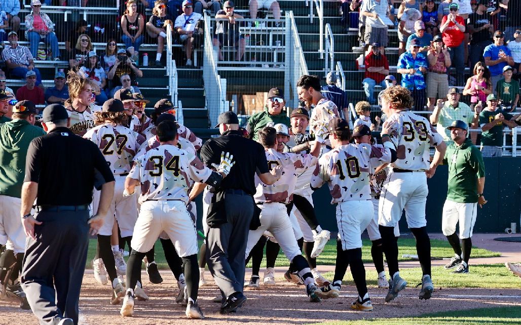 The game winner from Dusty Garcia in the bottom of the ninth Thursday afternoon.
